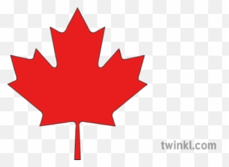 Maple Leaf Illustration - Canada Flag png