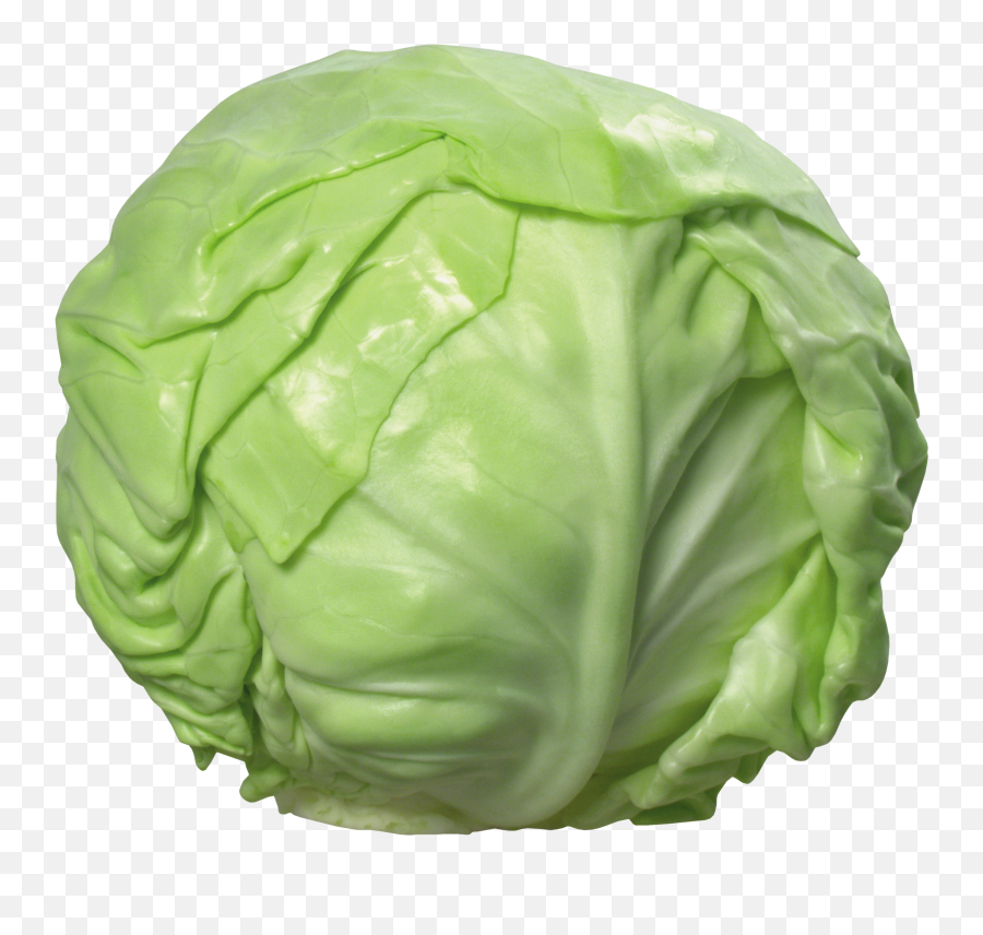 Cabbage Free Png - Cabbage Png,Vegetables Transparent Background