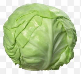 Cabbage Free Png - Png