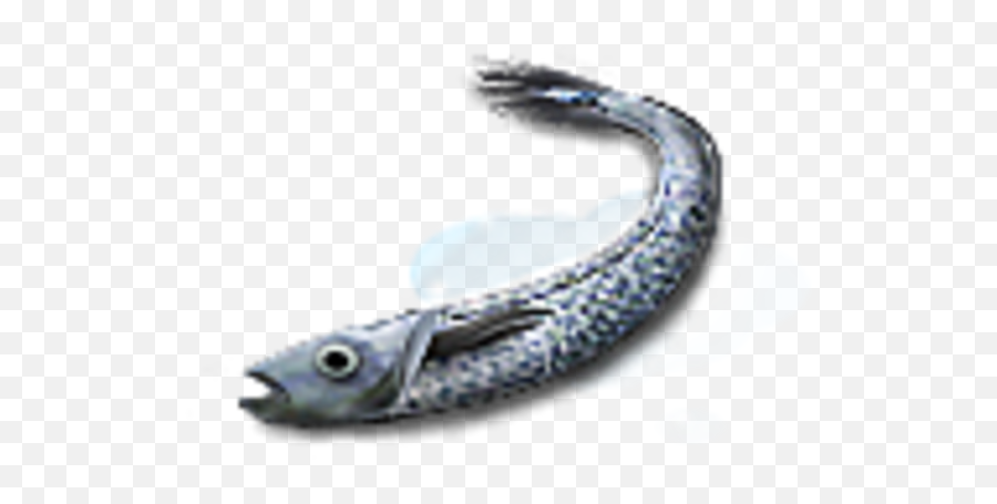 Cod Icon Free Images - Vector Clip Art Online Fish Png,Cod Icon