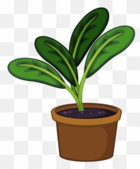 Flower Pot 12png Bunga Tanaman - Flower Pot Png Clipart