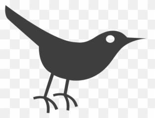 Black Crow - Twitter Bird Icon Transparent Cartoon Jingfm png