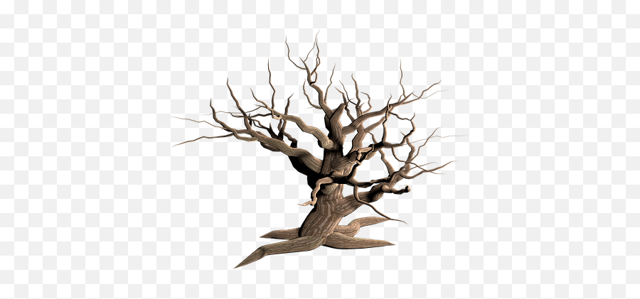 1000 Free Dead Tree U0026 Images - Desert Tree Transparent Background Png,Horror Icon Dies