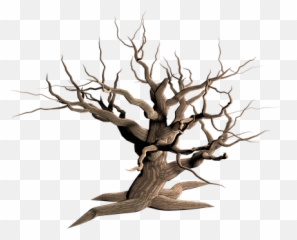 1000 Free Dead Tree U0026 Images - Desert Transparent Background png