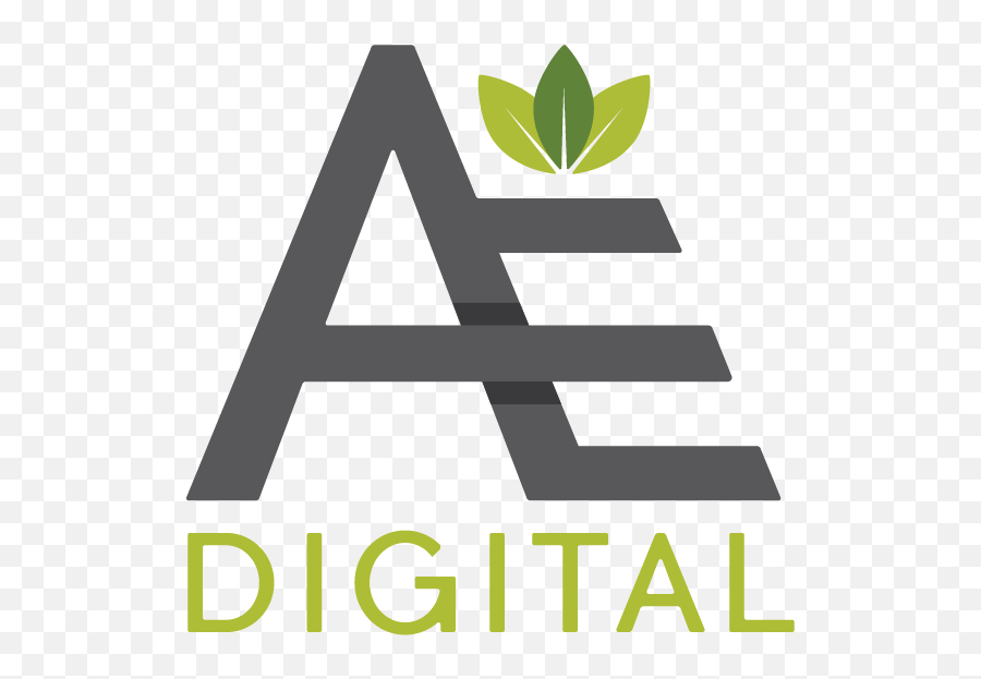 Digital Marketing For Mission - Transparent Ae Logo Png,Ae Logo