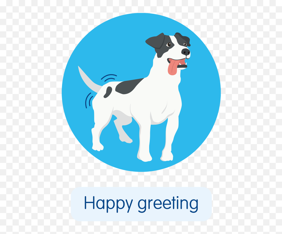 Five Signs Your Dog Loves You Blue Cross - Language Png,Happy Sad Dog Png Icon