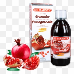 Anar Juice Png - Pomegranate Granada Fruit 4077067 Vippng Marnys Pomegranate Juice 500ml,Pomegranate Transparent