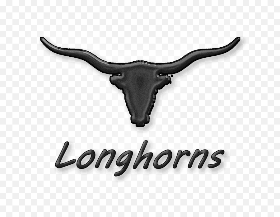 Pecan Peak Ranch - Central Texas Language Png,Longhorns Icon