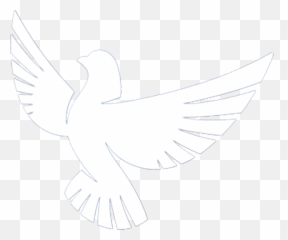 Dove - Bird Of Prey Png,Dove Transparent