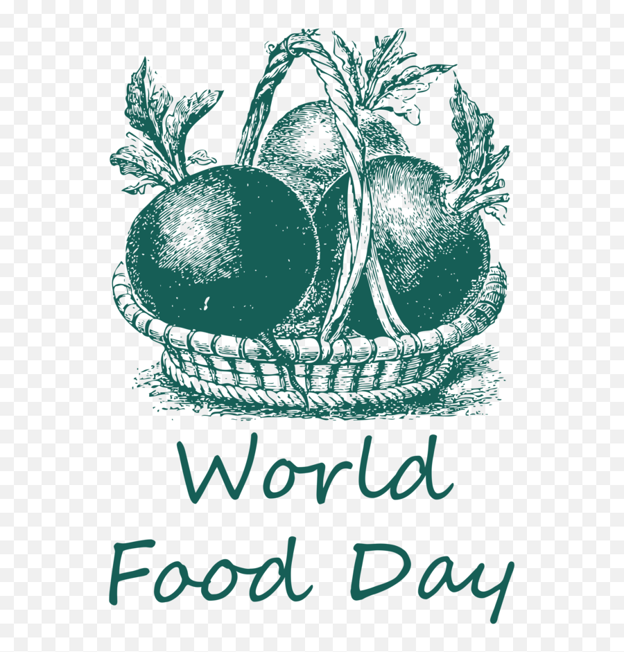 World Food Day Salad Vegetable Icon For Png