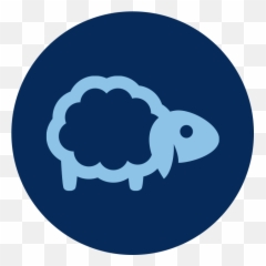 Better Sleep - LIVE CARP png