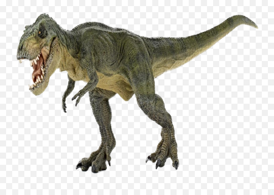 T Rex Transparent Images Png - T Rex Transparent,Tyrannosaurus Rex Png