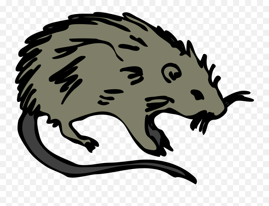 Download Rats Baseball Clipart - Rodent Clipart Png,Rats Png