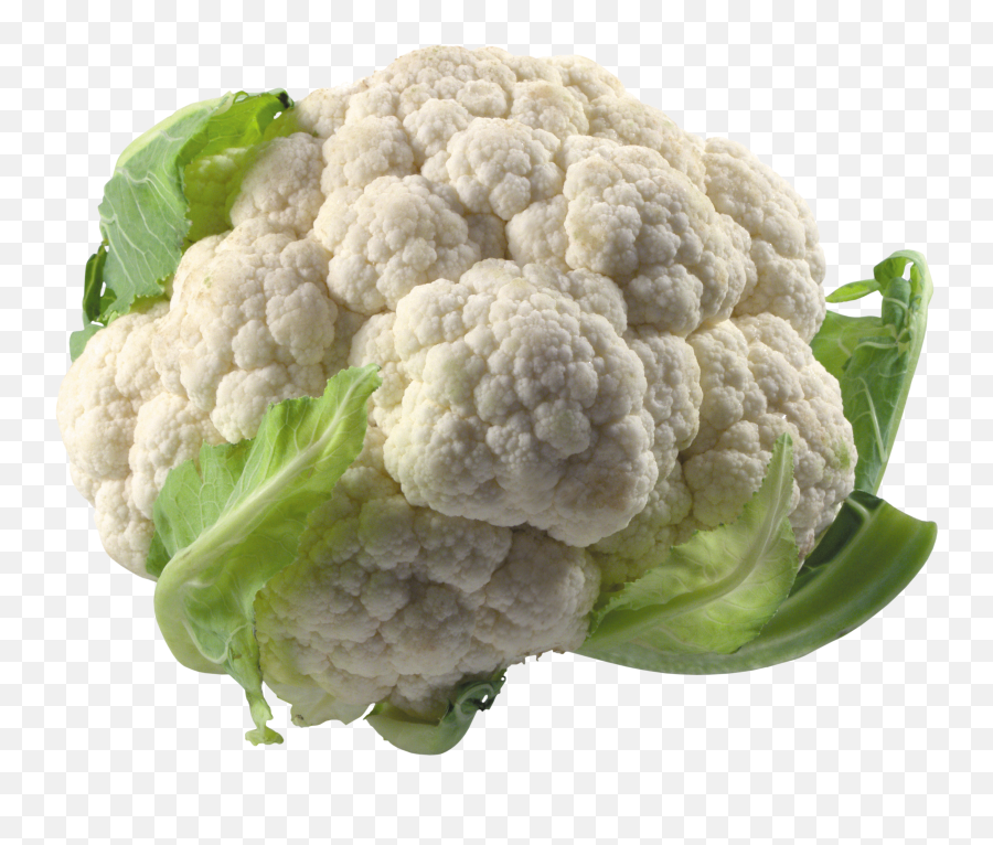 Cabbage Png Image - Cauliflower Png,Cabbage Png