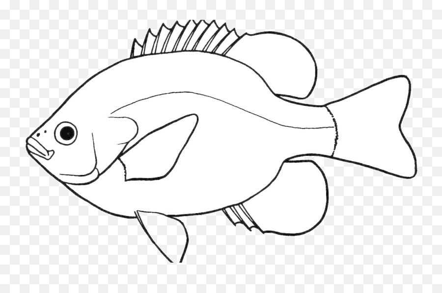 Pictures Of Fish Clipart Black And White Bestpicture1org - Fish Clipart Black And White Png,Fish Outline Png