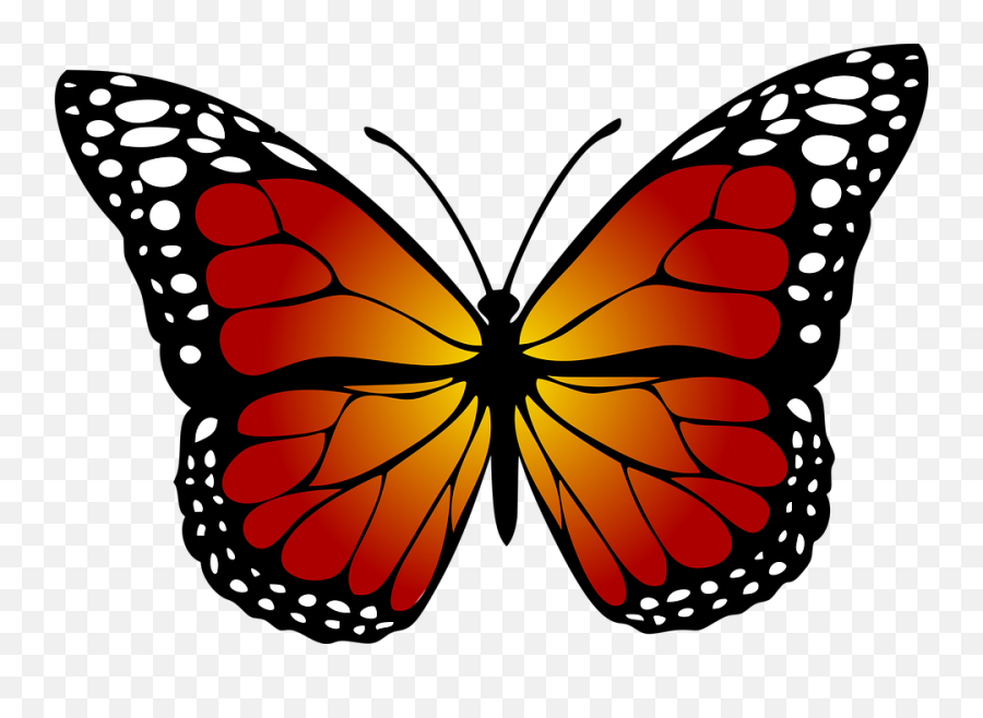 Monarch Butterfly Png Transparent 2 - Monarch Butterfly Clipart,Monarch Butterfly Png