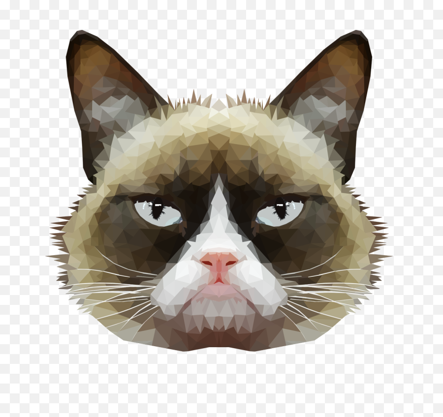 Download Pics For U003e Transparent Tumblr Grumpy Cat - Grumpy Head Cat Face Png,Cats Transparent Background