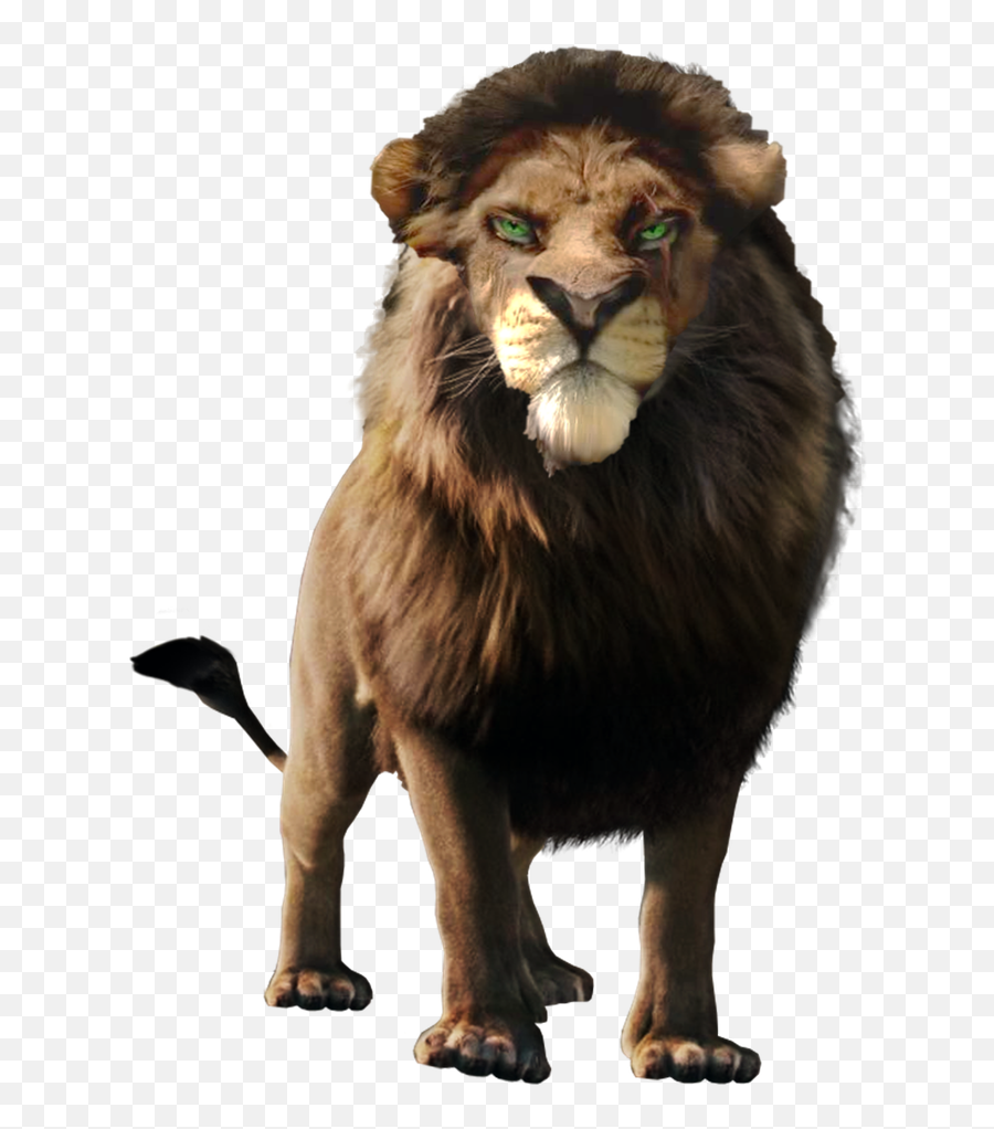 Simba Png File - Lion King Png Real,Simba Png