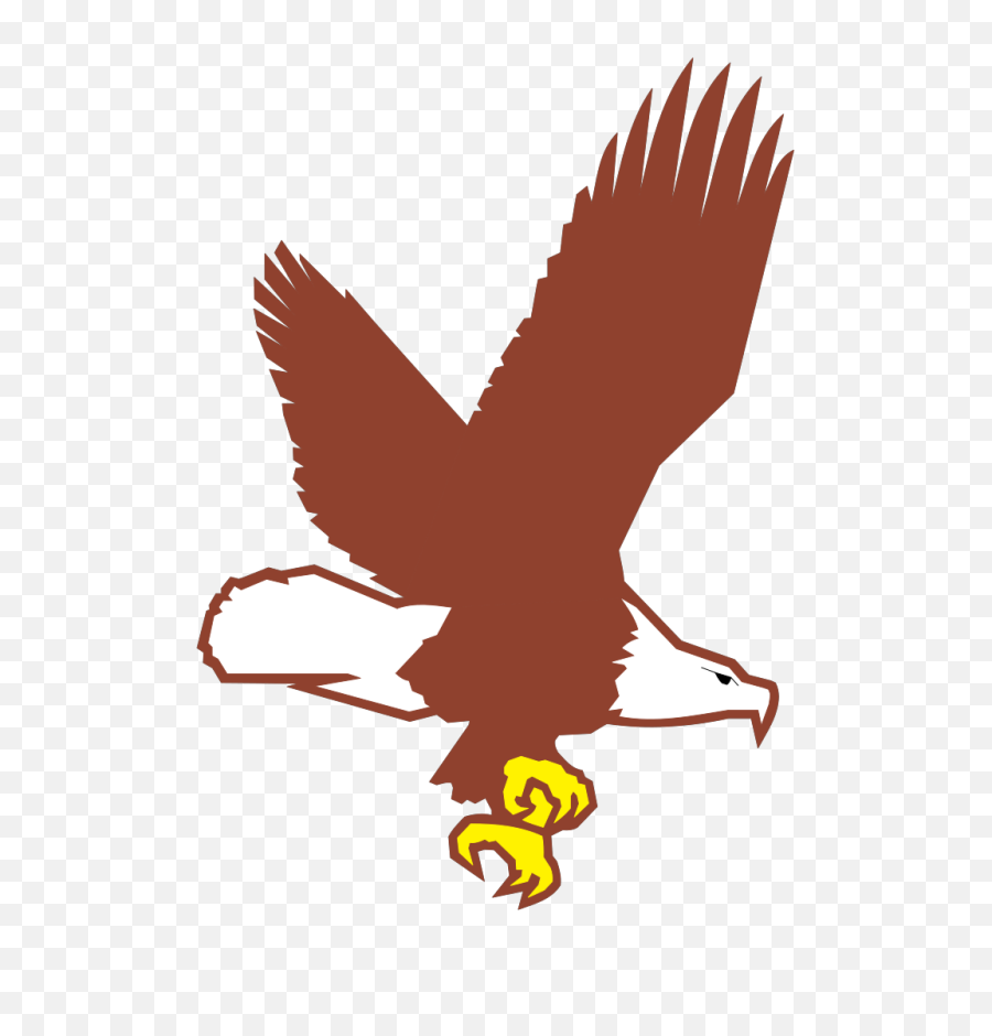 Bald Eagle Flying Png Svg Clip Art For Web - Download Clip Cartoon Flying Bald Eagle,Soaring Eagle Png