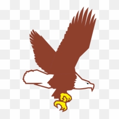 Bald Eagle Flying Png Svg Clip Art For Web - Download Cartoon