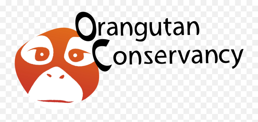A Visit To Sintang Orangutan Center Soc - Orangutan Conservancy Logo Png,Orangutan Png