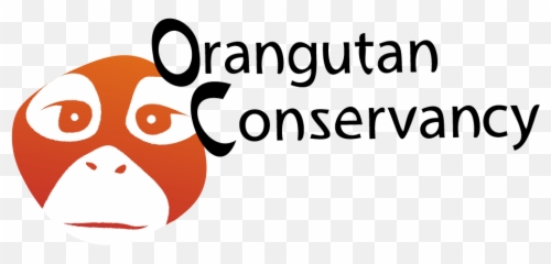 A Visit To Sintang Orangutan Center Soc - Orangutan Conservancy Logo Png,Orangutan Png