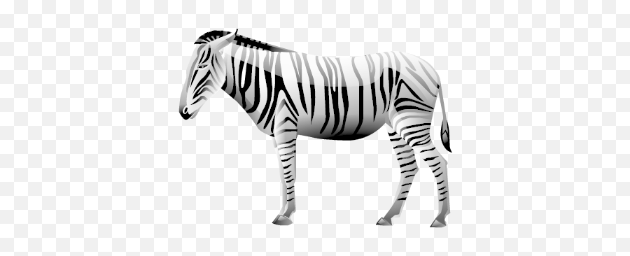 Zebra Png Image - Animal Icons,Zebra Transparent Background