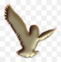 Owl Logo Sticker - Hawk Png,Owl Logo
