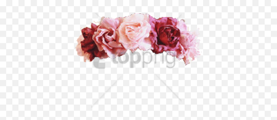 Download Free Png Flower Crown Transparent Overlay Image - Background Png Roses,Flower Crown Transparent Png
