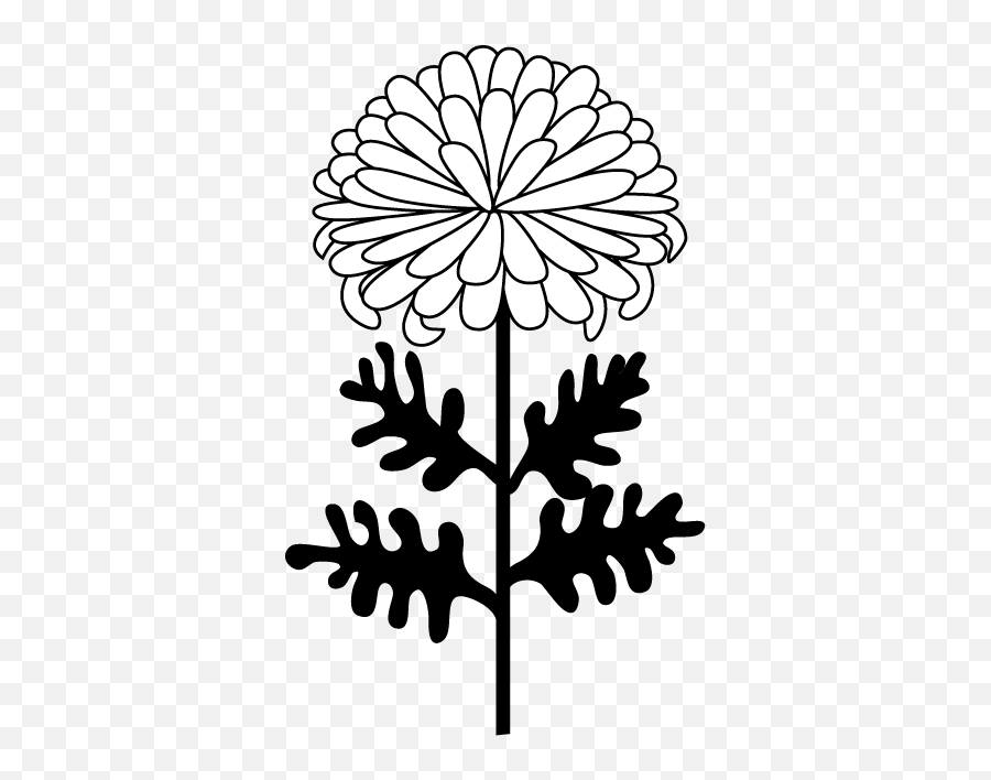 Free Chrysanthemum Cliparts Download Clip Art - Chrysanthemum Clip Art Png,Chrysanthemum Png