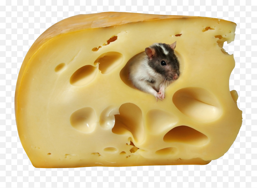 Cheese Icon - Cheese Clip Art Png,Cheddar Png