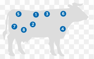 Prime - Product Range U2014 Lynas Foodservice Png,Beef Png