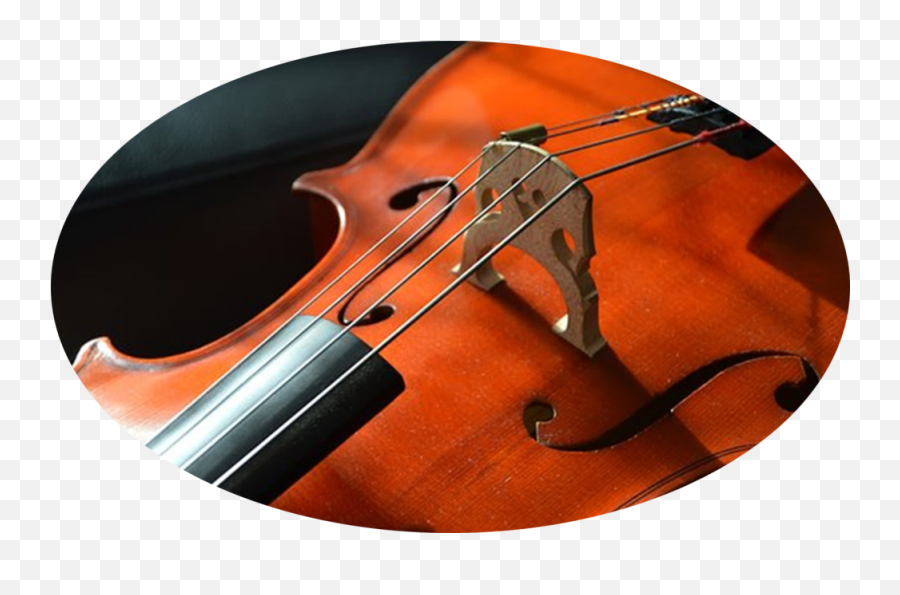 Inspire Music Academy - Cello Png,Violin Png