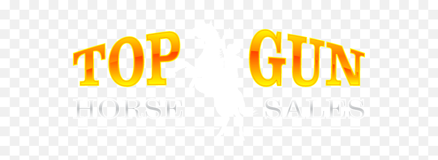 Top Gun Horse Sales Terms U0026 Conditions - Top Gun Horse Sales Wells Fargo Png,Top Gun Logo