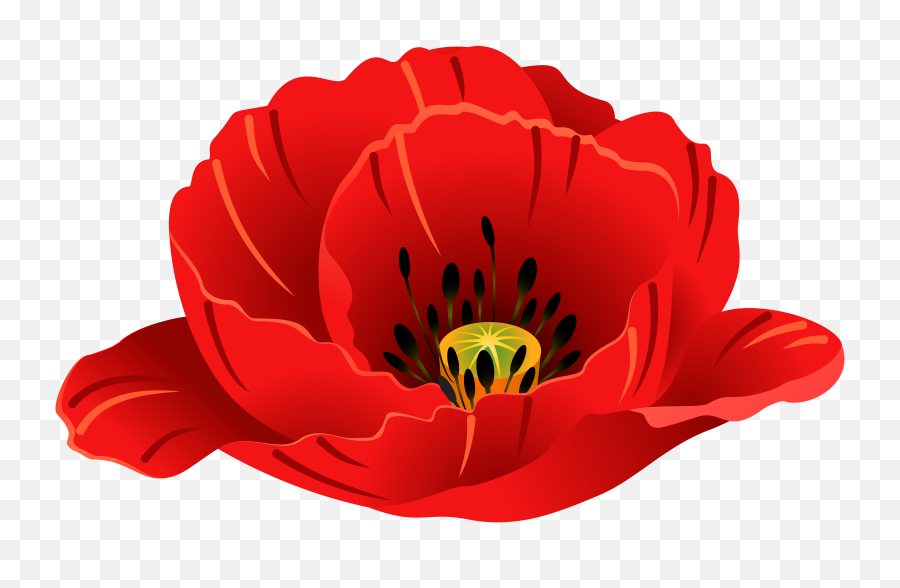 Art Images Poppies Clip - Single Poppy Flower Cartoon Transparent Background Png,Poppies Png