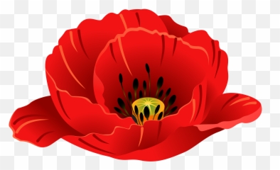 Art Images Poppies Clip - Single Poppy Flower Cartoon Transparent Background Png,Poppies Png