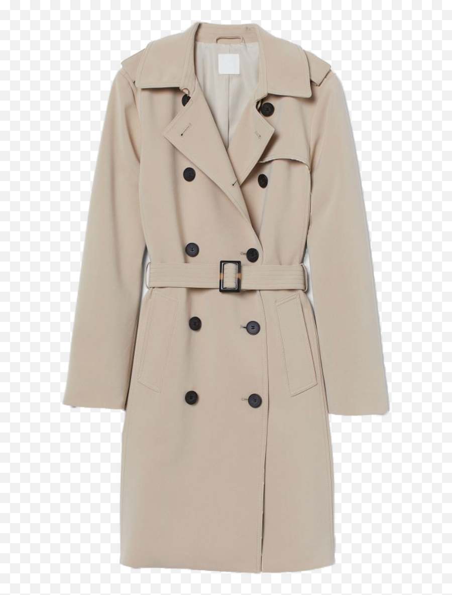 Autumn In Nob Hill Gabriela Lemay Png J Crew Icon Trench