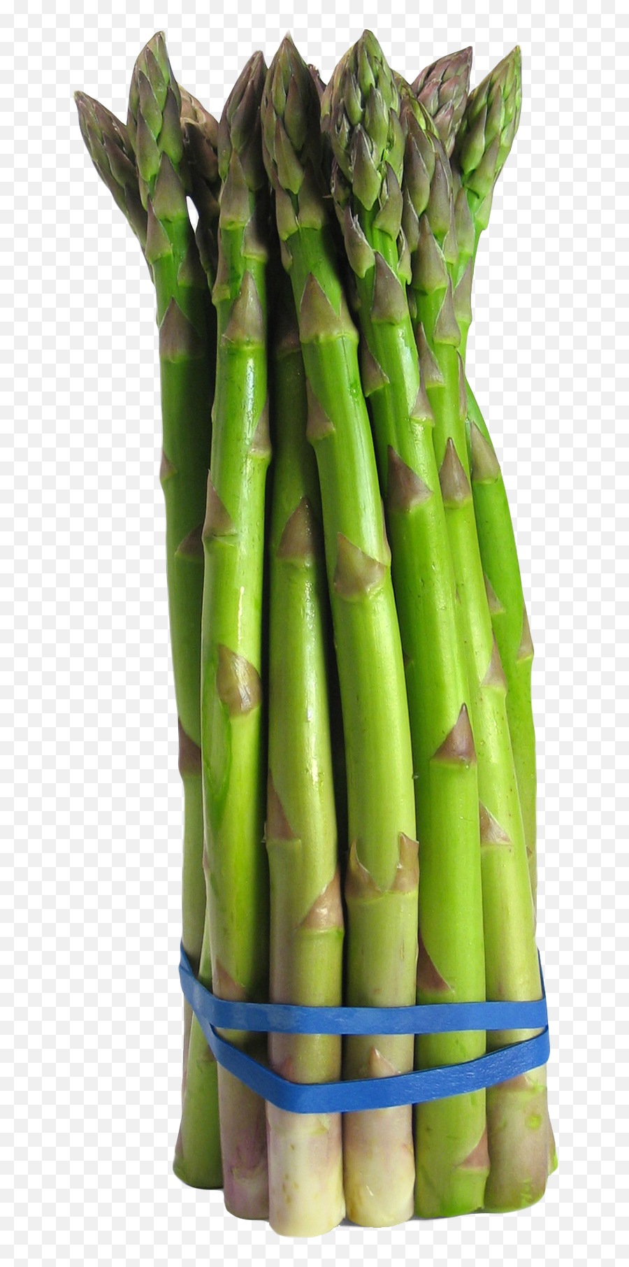 Download Asparagus Png Image For Free - Asparagus Png,Sugarcane Png