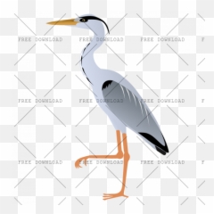 Crane Stork Bird Png Image With Transparent Background - Cartoon Heron Png,Crane Png