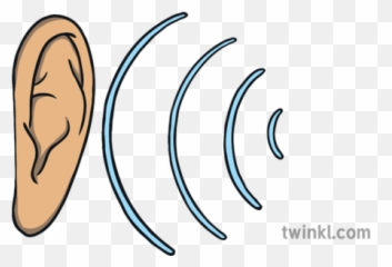 What Is Auditory Dyslexia - Answered Twinkl teaching Wiki Producerea Si Propagarea Sunetelor png