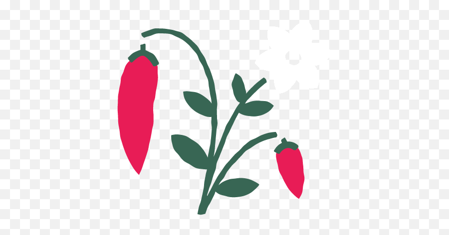 Sweet Paprika Bakery - Spicy Png,Bakery Icon Png