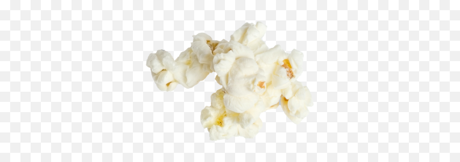 About - Mosbyu0027s Popcorn Solid Png,Popcorn Time Icon