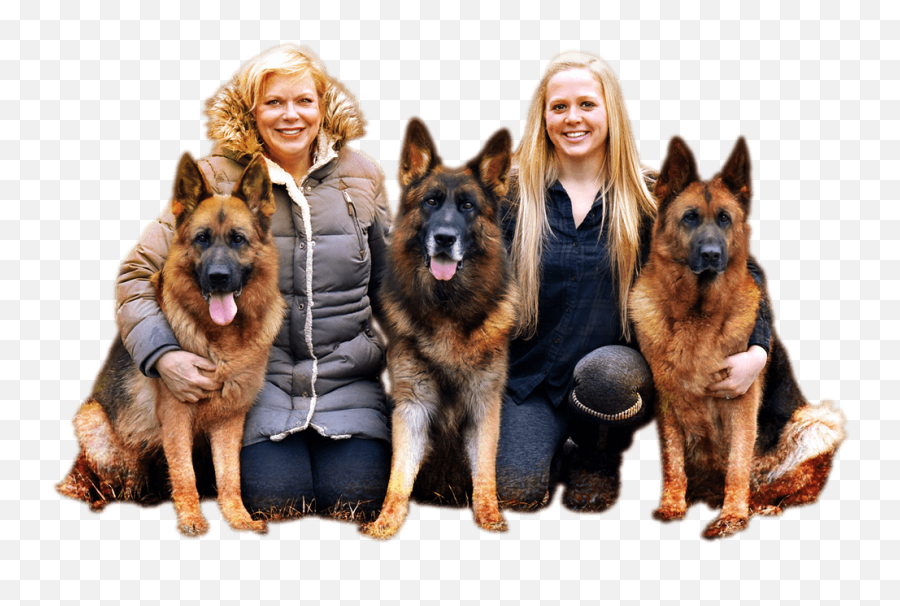 Home - Altatollhaus German Shepherds Northern Breed Group Png,German Shepard Puppy Icon