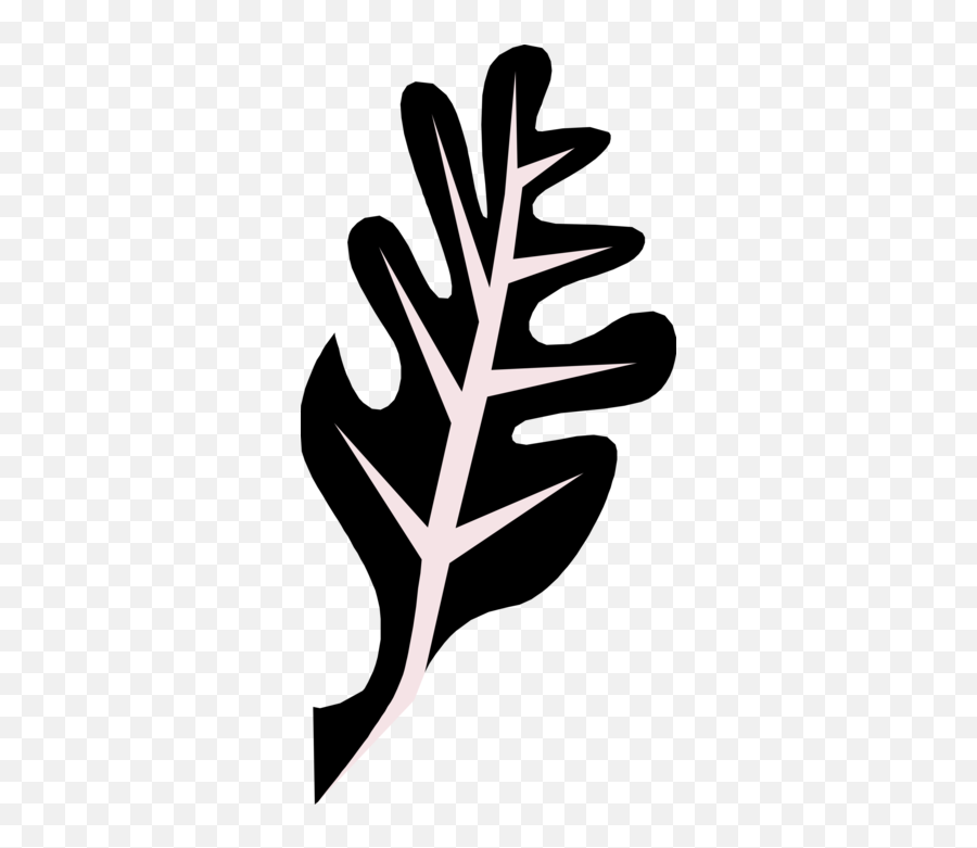 Oak Tree Leaf - Vector Image Language Png,Aym Icon