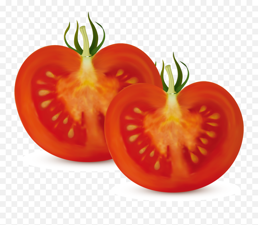 Download Bush Clipart Vegetable Plant - Tomato Cut In Half Cross Section Of A Tomato Png,Tomato Clipart Png