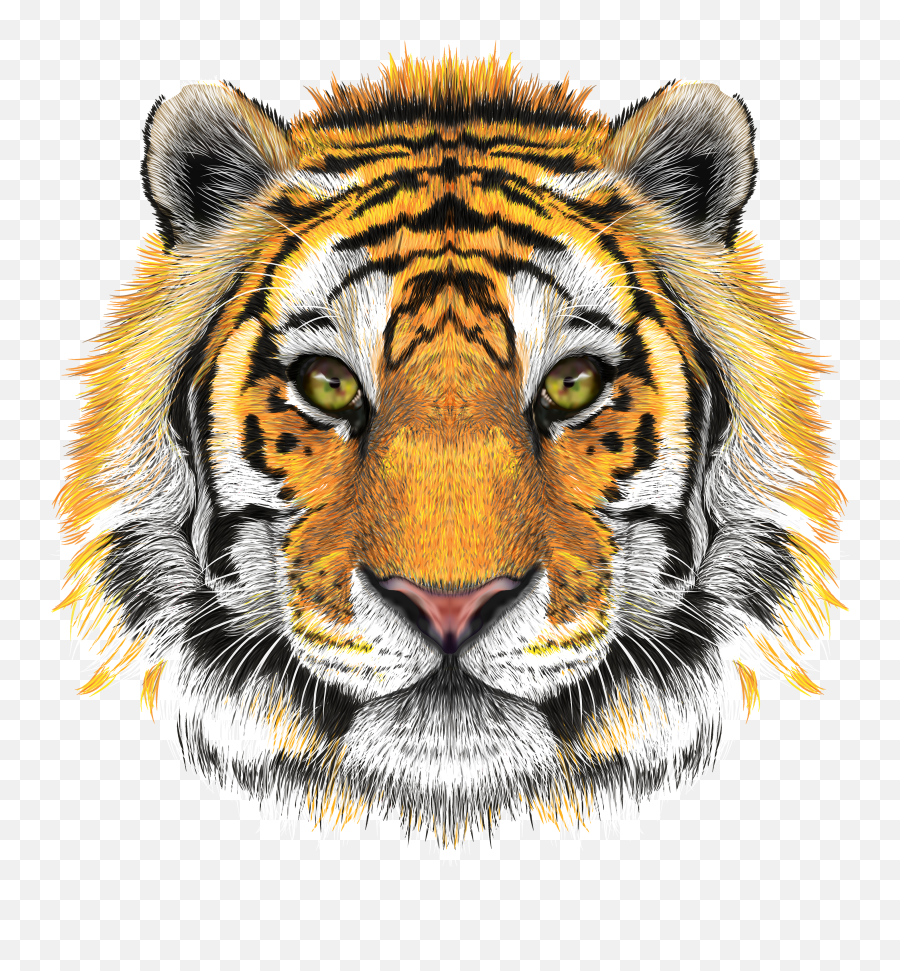 Transparent Tiger Head Clipart - Transparent Tiger Face Png,Tiger Head Png