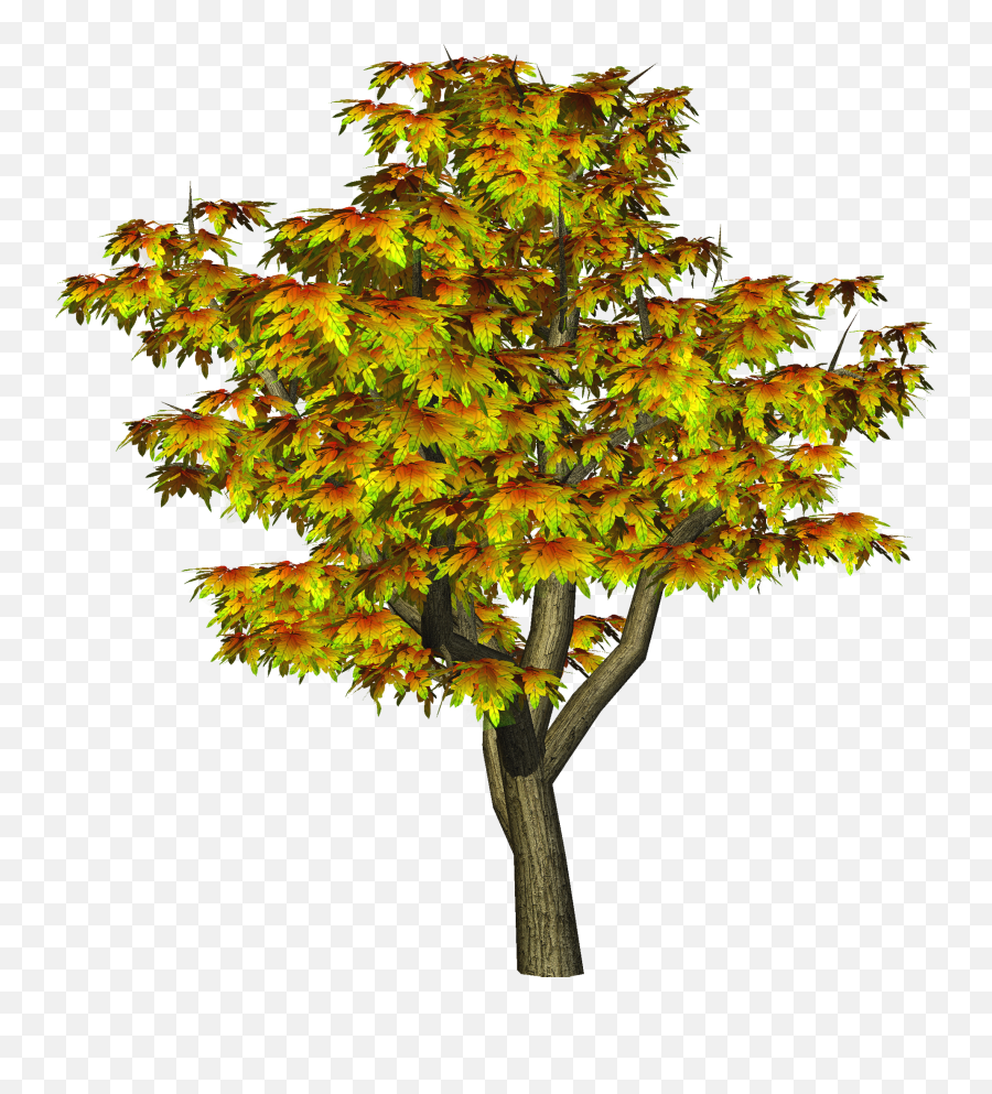 Maple Tree Clipart Freeuse Png Files - Png All Photo Editing,Maple Tree Png