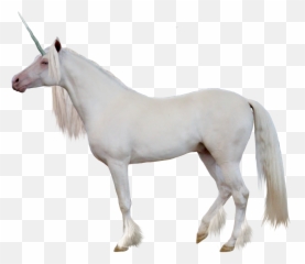 Unicorn Png Image - Side View