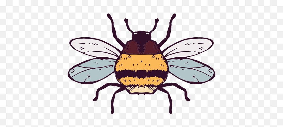 Bumble Bee - Bumble Bee Transparent Png,Bumble Png