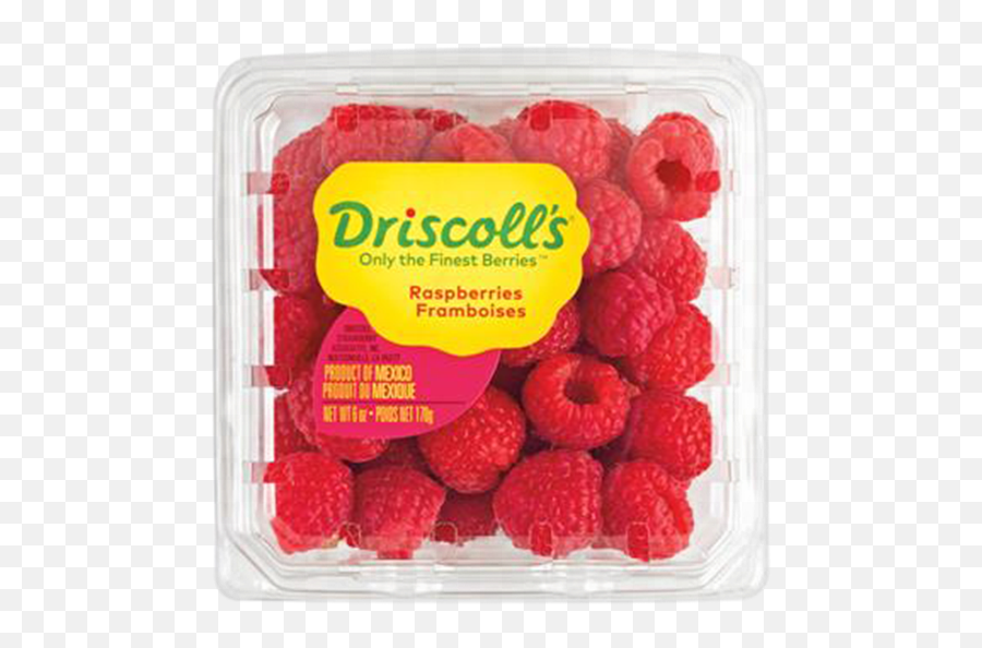 Hy - Driscoll Strawberry Singapore Png,Raspberries Png